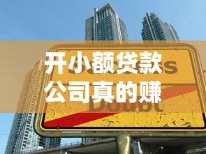 开小额贷款公司真的赚钱吗？行业现状与风险全解析