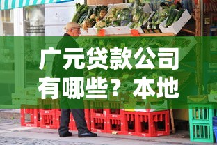 广元贷款公司有哪些？本地人实测5家靠谱机构推荐