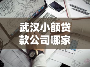 武汉小额贷款公司哪家靠谱？手把手教你避坑选对平台
