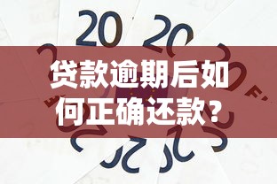 贷款逾期后如何正确还款?掌握这些方法避免信用受损 贷款逾期后如何正确还款?掌握这些方法避免信用受损