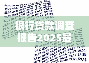 银行贷款调查报告2025最新版：深度分析与行业趋势解读
