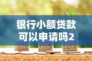 银行小额贷款可以申请吗2025最新申请流程条件及额度解析