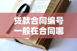 贷款合同编号一般在合同哪里找 贷款合同编号查询方法