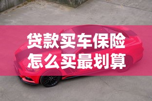 贷款买车保险怎么买最划算 新手必看的购车险指南