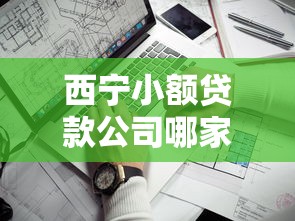西宁小额贷款公司哪家正规靠谱