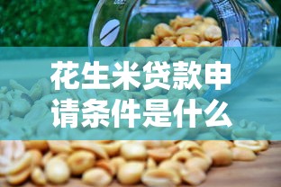 花生米贷款申请条件是什么 花生米贷款利息高吗 花生米贷款靠谱吗 花生米贷款审核要多久 花生米贷款额度有多少