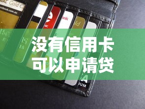 没有信用卡可以申请贷款吗 无信用卡个人贷款攻略
