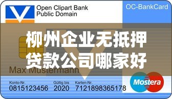 柳州企业无抵押贷款公司哪家好?2025最新信用贷申请指南 柳州企业无抵押贷款公司哪家好?2025最新信用贷申请指南