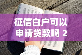 征信白户可以申请贷款吗 2025年最新贷款攻略与成功率提升技巧