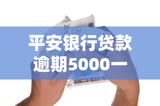 平安银行贷款逾期5000一个月怎么协商还款