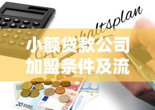 小额贷款公司加盟条件及流程全解析-2025最新加盟政策指南