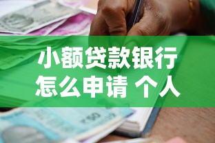 小额贷款银行怎么申请 个人信用贷款条件和流程详解
