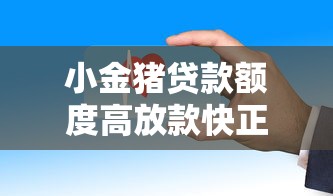 小金猪贷款额度高放款快正规平台安全可靠 小金猪贷款额度高放款快正规平台安全可靠