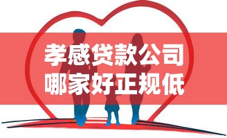 孝感贷款公司哪家好正规低息快速放款推荐指南