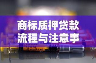 商标质押贷款流程与注意事项 2025年最新企业融资指南 商标质押贷款流程与注意事项 2025年最新企业融资指南