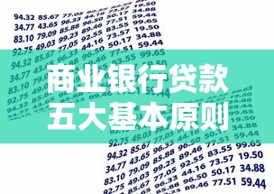 商业银行贷款五大基本原则详解