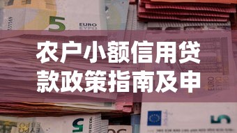 农户小额信用贷款政策指南及申请流程详解