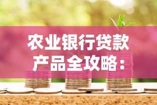 农业银行贷款产品全攻略：条件流程及最新政策解析