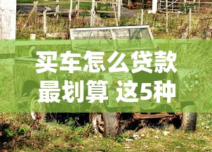 买车怎么贷款最划算 这5种省钱方案90%的人不知道