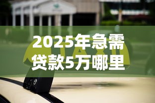 2025年急需贷款5万哪里能快速审批通过
